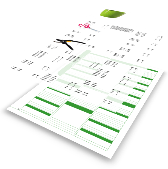 collegare Excel a InDesign