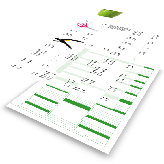 connect excel to indesign